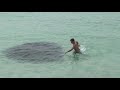 Mysterious Water Creature - Florida 2013