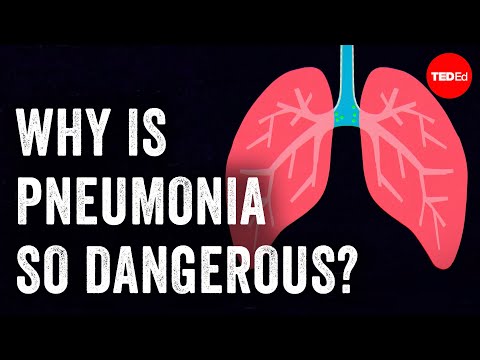 TED_Ed. Why is pneumonia so dangerous? (Kodėl plaučių uždegimas toks pavojingas?)