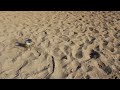 HyTAQ Robot