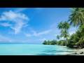 Time-lapse of palm tree-covered beach/ Bora Bora, Tahiti
