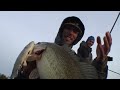 Clear Lake bass fishing, clip 1.mov