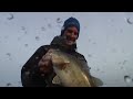 Clear Lake bass fishing, clip 1.mov