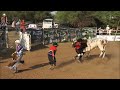 ONCE RODEO,FINAL ESTATAL,MONTA DE TORO