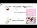 Blood Types: ABO and Rh (with donuts and sprinkles!)