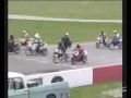 Geluksvogelcompilatie