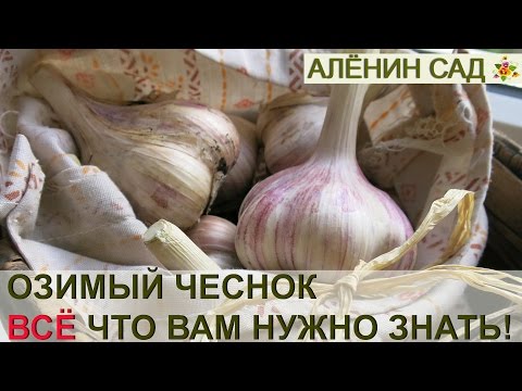 Лущилка для кукурузы своими руками Коляски в Екатеринбурге - E1.ОБЪЯВЛЕНИЯ