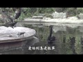 吳蕙君-愛的利息 官方版MV (Official Music Video)