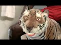 Terry Crews - Crazy Old Spice Commercials