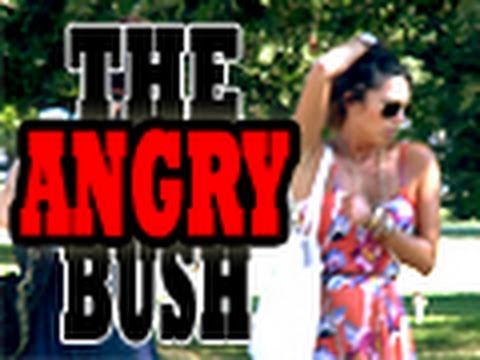 Angry Bush Prank