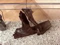 Setting Up A Planted Aquarium - The Liddle Fish Doctor