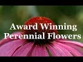 Perennial Garden Flowers Award Wining Favorites