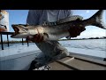 Big Mosquito Lagoon Sea Trout on Fly