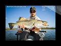 Big Mosquito Lagoon Sea Trout on Fly