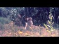 Memoryhouse -