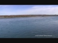 Spin fishing in New Zealand..Mid winter sea run slam