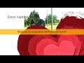 edy talent-cand iti iubesti cu adevarat jumatatea(cryss & floryn)
