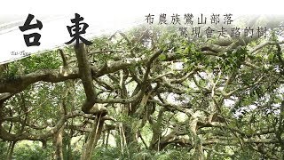 廖科溢【台灣東部布農族】阿凡達會動的生命之樹 神聖部落傳奇