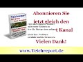 Gartenteich selber bauen - 7 Tipps für den richtigen Standort - Video zu Gartenteich anlegen