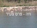 בקור הברבור בשדה אליהו