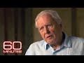 Sir David Attenborough: The 60 Minutes Interview 2020
