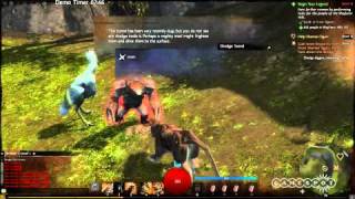 Guild Wars 2 - HQ геймплей