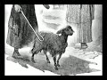 What is the Bible Basically About?