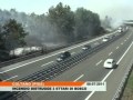 8.7.2011 – Incendio nel Parco Regionale Migliarino San Rossore Massaciuccoli