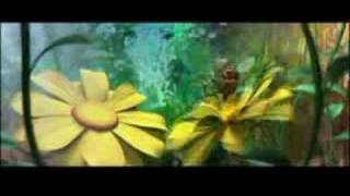 Bumble Bees