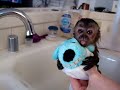 baby monkey nala gets a bath