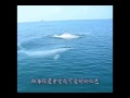 媽祖魚(白海豚)保育短片 