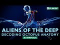 The Fascinating Anatomy of the Octopus - A Detailed Explanation - EA3D - 2023
