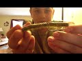 How to TEXAS RIG a rubber worm or any other rubber lure. Fishing Tips