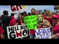 Global March Against Monsanto 10.12.2013