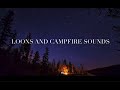 Launch Mini Player