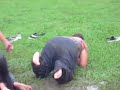 wrestling in the mud