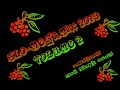 SLO-MEGAMIX 2013 (volume 2)