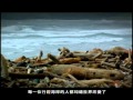 《±2℃》正負2度C-全球暖化台灣版紀錄片