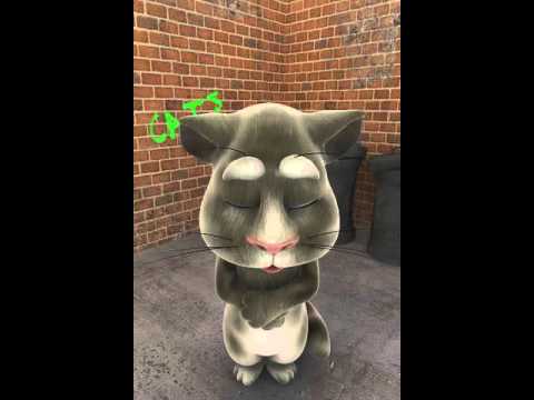 Talking Tom Cat thefunniest app for your Android Smartphone. Tomis your pet cat, feed him milk and he will respondsto touch and repeats youin a funny voice.