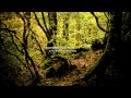 Nature Sound 17 - THE MOST RELAXING SOUNDS -