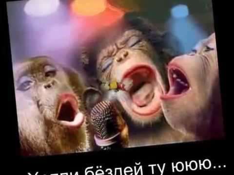 Открытка с обезьяной с днем рождения 8