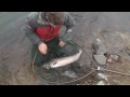 Havsöring 6kg+ Mörrum Big sea trout