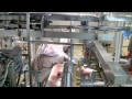 Scott Meat Processing - Automated Lamb De-boning System