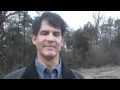 Cortical Near Death Experience
