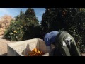 Tips for Citrus Industry Workers