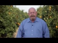 Tips for Citrus Industry Workers