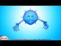 Animal Cell Structure (animation) - Different Parts & their Functions