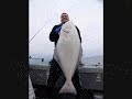 Jolly Rogers Halibut Fishing, May 2009