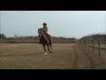 Western Riding Cowboy 6 : Running Wisdom