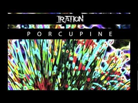Porcupine (acoustic version) - Iration