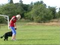 Afra poslušnost 5 měsíců.mpg